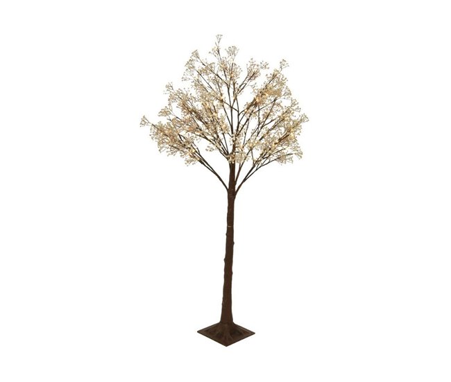 Árvore Gypsophila Multicor
