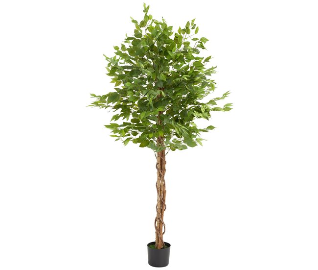 árvore de ficus artificial Verde