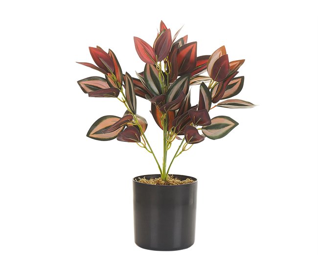 Beliani Planta artificial TRADESCANTIA Verde