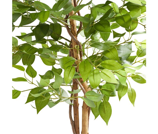 árvore de ficus artificial Verde