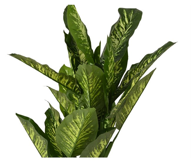 Planta artifical DIEFTENBAC marca EVERLANDS FLOWERS AND PLANTS Verde