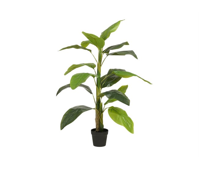 Planta artificial STRELITZIA marca MYCA Verde