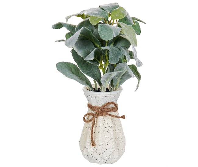 Beliani Planta artificial PEPEROMIA ARGYREIA Verde