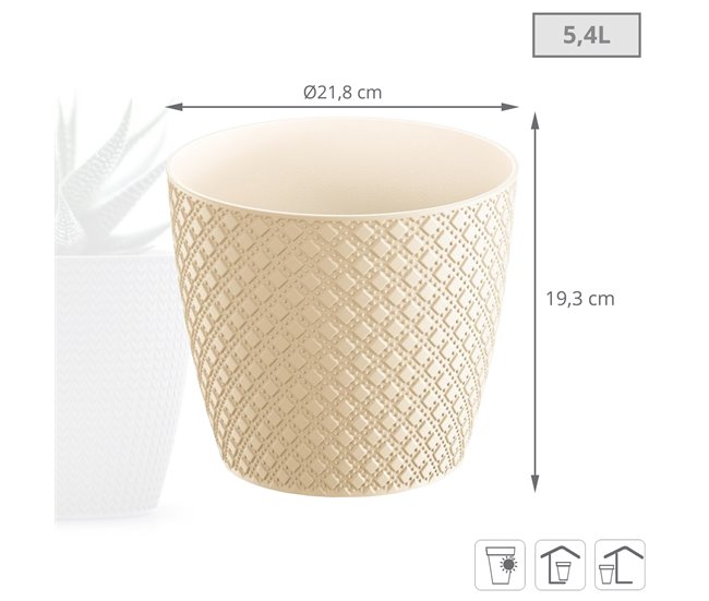 5,4L Orient Pote Creme