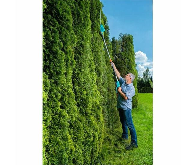 Corta-sebes THS 42/18 V P4A Azul/ Preto