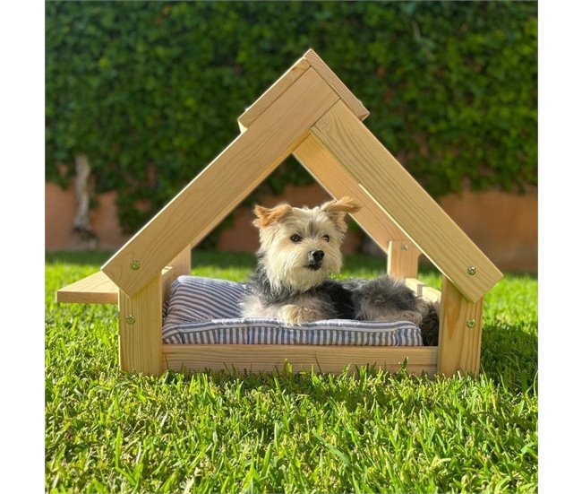 Canil para cães Castanho