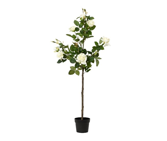 Planta articial ROSA marca EVERLANDS FLOWERS AND PLANTS Verde