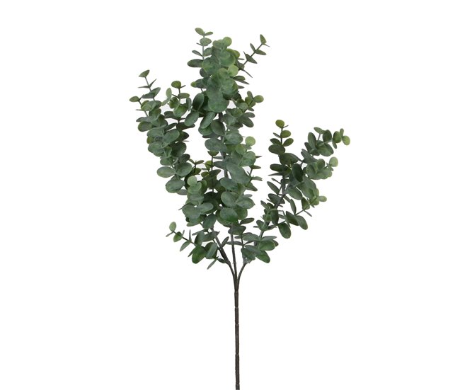 Planta floral EUCALIPTO 65cm marca CONFORAMA Verde