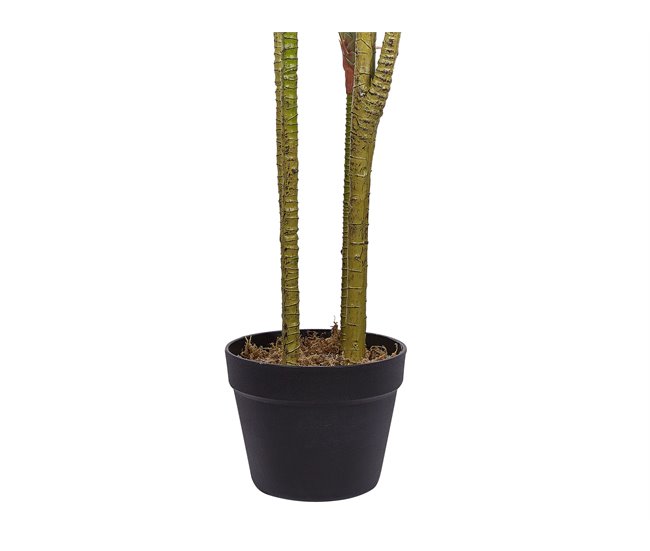 Beliani Planta artificial DRACAENA ANITA Verde