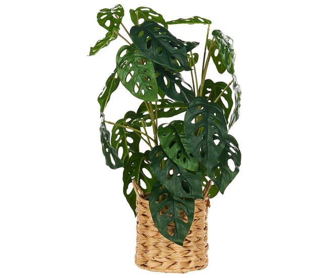 Beliani Planta artificial KIAMA Verde