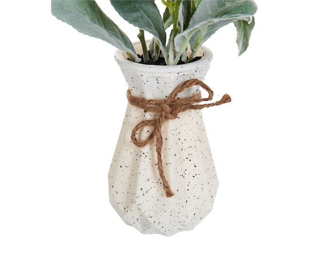 Beliani Planta artificial PEPEROMIA ARGYREIA Verde