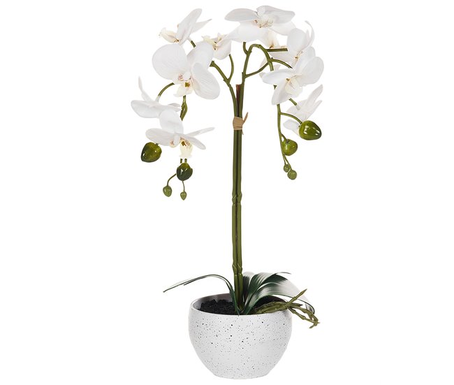 Beliani Planta artificial ORCHID GR1531651