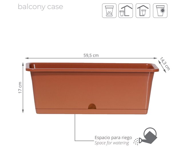 Camely w Terracota