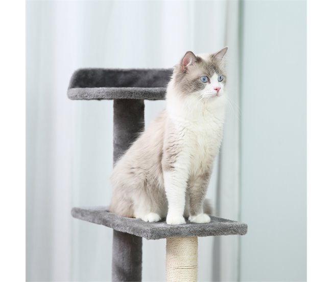 Arranhador para Gatos Multicor
