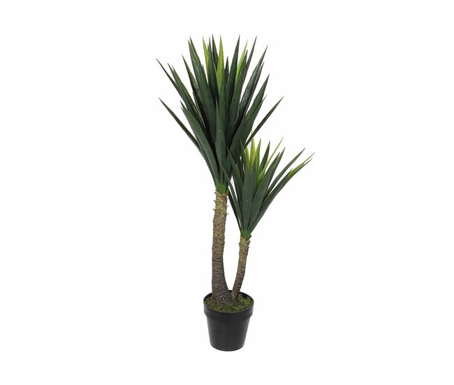 Planta Decorativa Yucca Verde