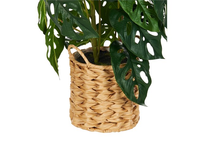 Beliani Planta artificial KIAMA Verde