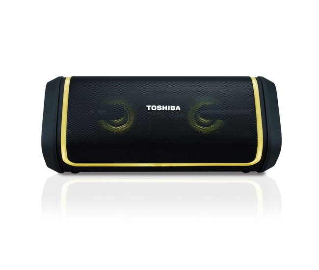 Altifalante Bluetooth Portátil TY-WSP150 Preto