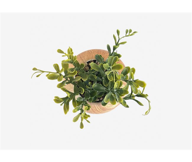 Planta artificial OLGA marca ECOANYA Natural
