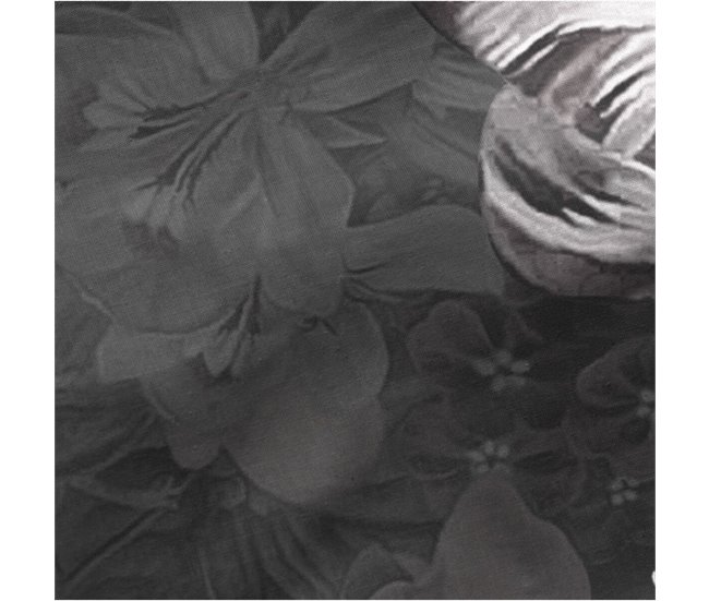 Conjunto de fronhas Onyx Multicor