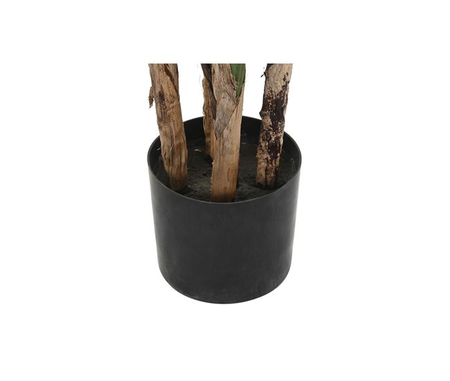 Planta Decorativa Verde