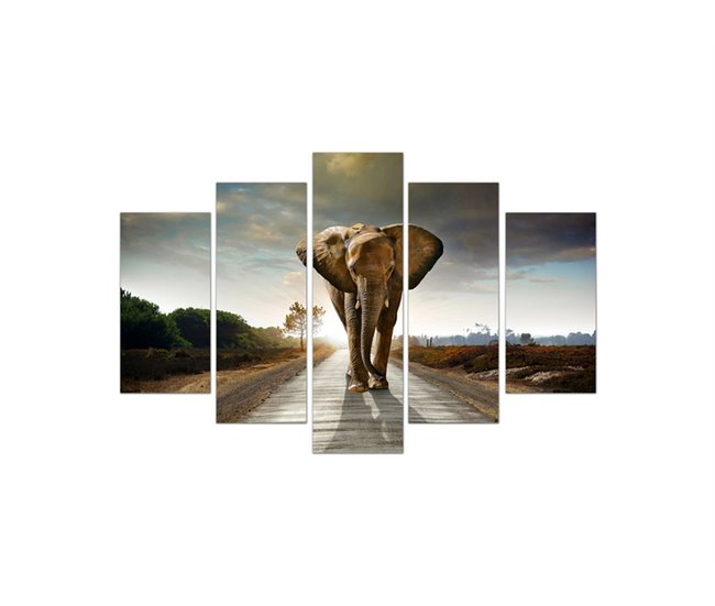 Tela 5 peças ELEPHANT KING marca CONFORAMA Multicor