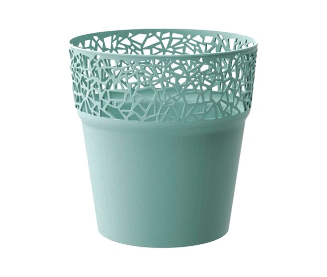 Árvore de Moted Moted Verde