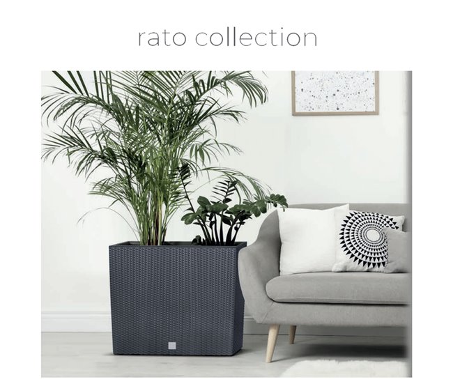 Gardiner para Balcon Rato Case W Bege