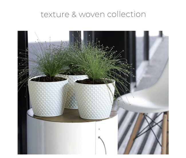 5,4L Orient Pote Creme