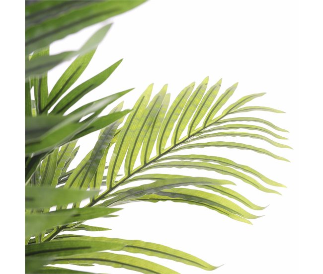 Planta Decorativa Verde