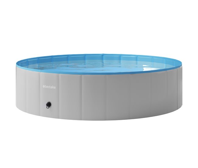 piscina para cães 