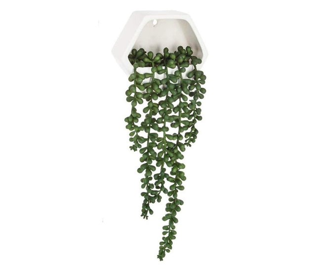 WELL HOME - Planta contemporânea para pendurar na parede Verde