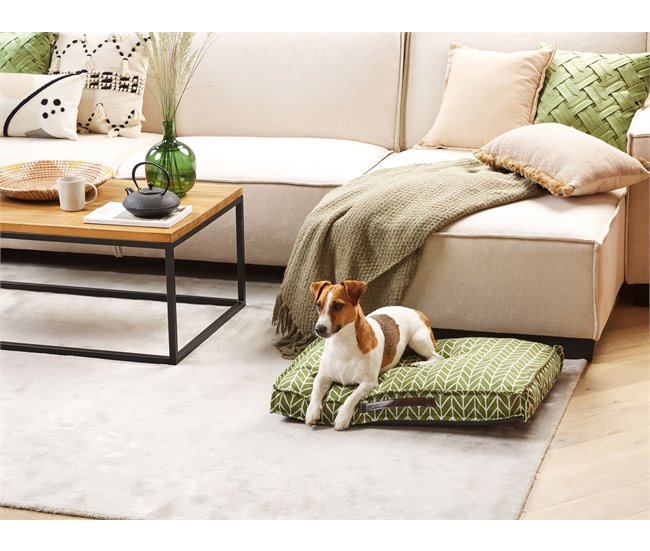 Beliani Cama para mascotas PAYAS Verde