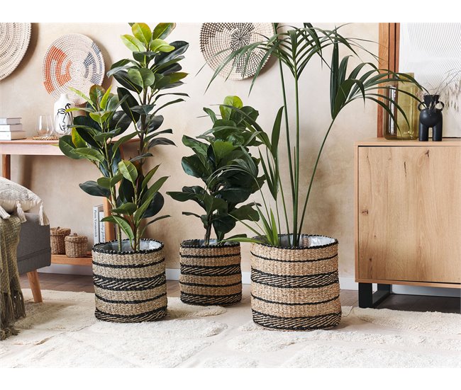Beliani Conjunto de 3 vasos para plantas RASBORA Bege