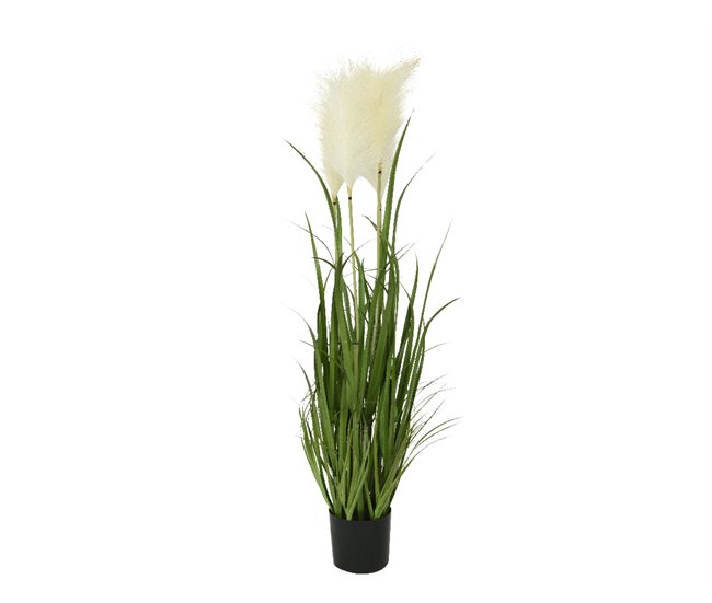 Planta artificial PAMPAS marca EVERLANDS FLOWERS AND PLANTS Verde