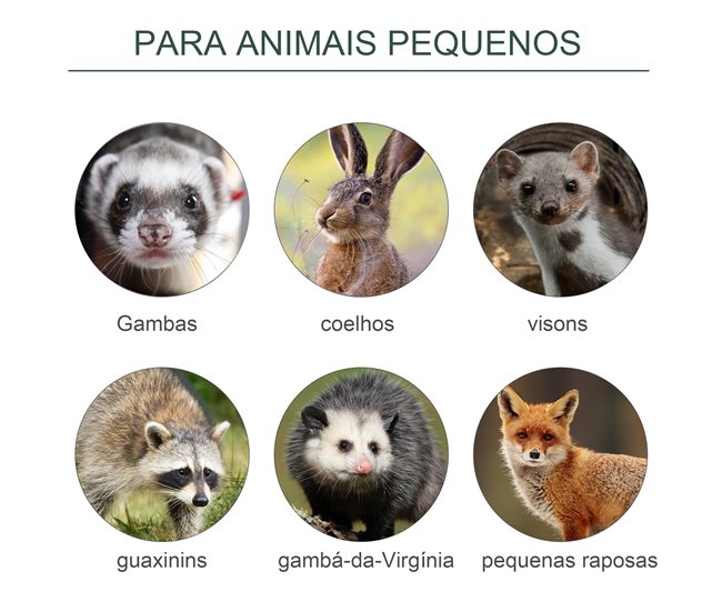 Armadilha para Animais Vivos Aço Outsunny Verde
