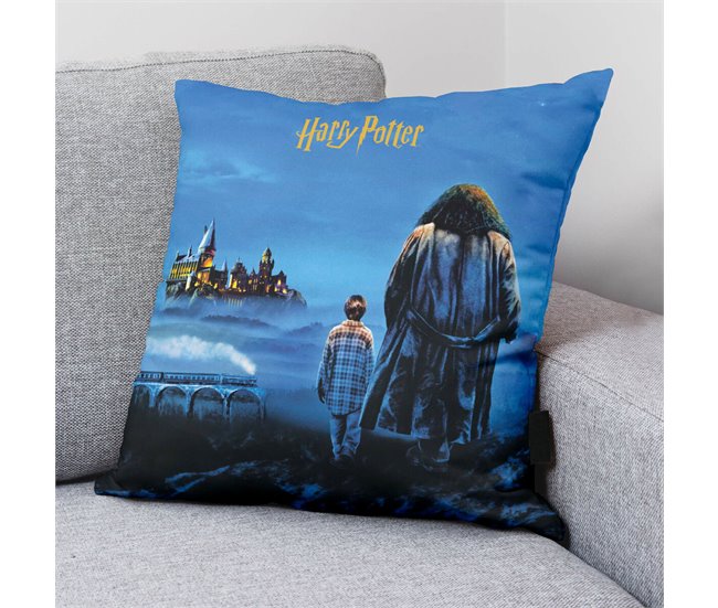 Capa de travesseiro Philosopher's Stone Multicor