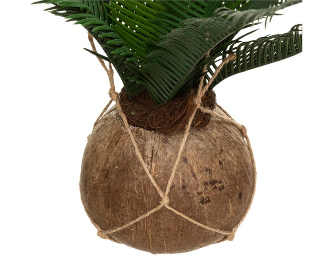 WELL HOME - Cuba de palmeira Bege