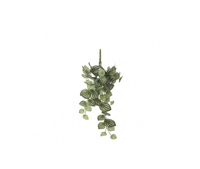 Planta artificial suspensa PEPEROMIA marca MYCA Verde