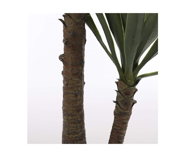 Planta Decorativa Yucca Verde
