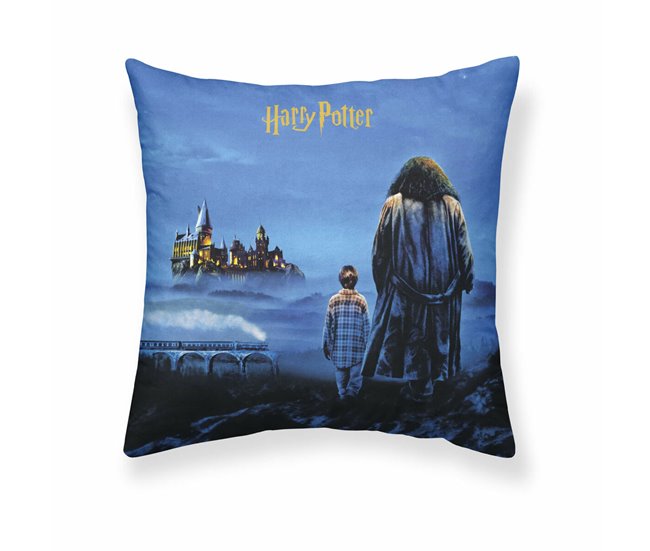 Capa de travesseiro Philosopher's Stone Multicor
