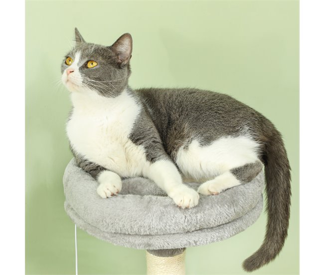 Arranhador para Gatos Melamina de Madeira e Sisal PawHut Cinza