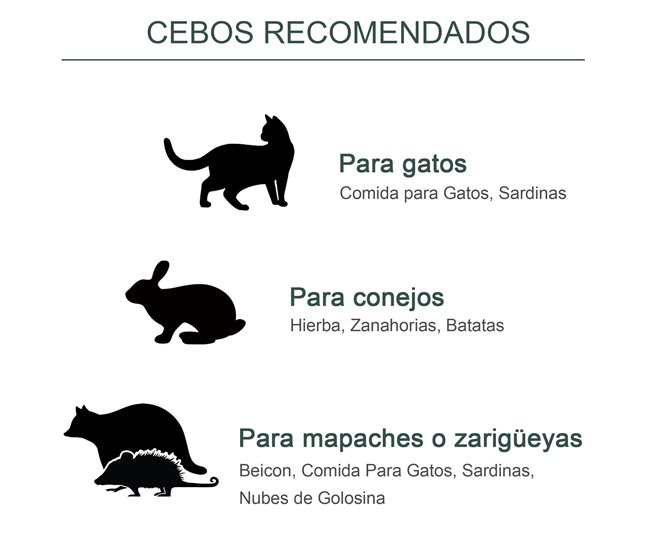 Armadilha viva Ferro PawHut Verde