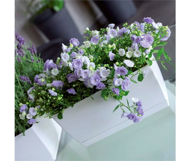 Plástico Jardinera Coubi Caso P Preto