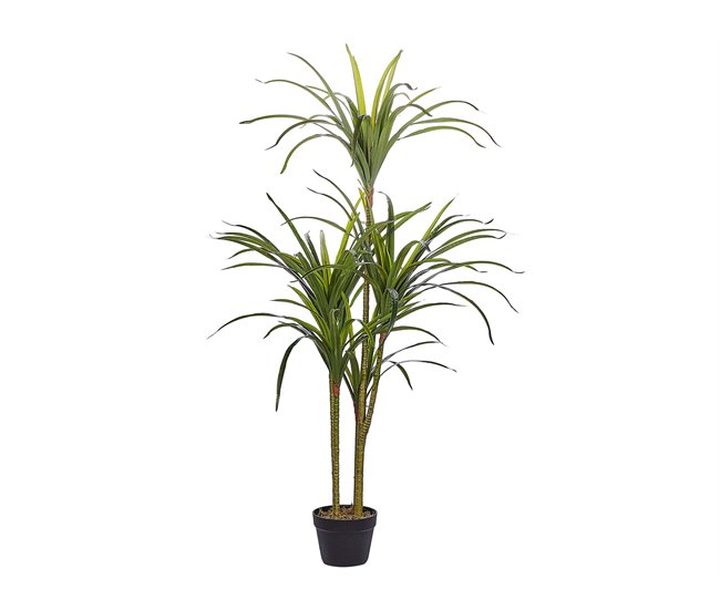 Beliani Planta artificial DRACAENA ANITA Verde