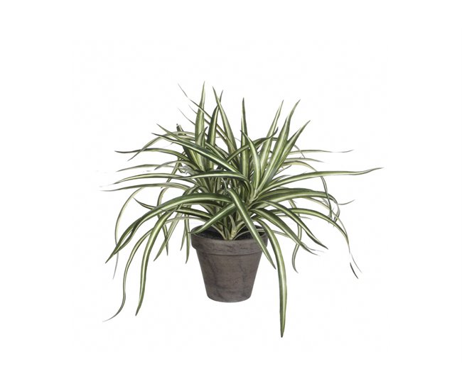 Planta artificial DRACAENA marca MICA DECORATIONS Verde