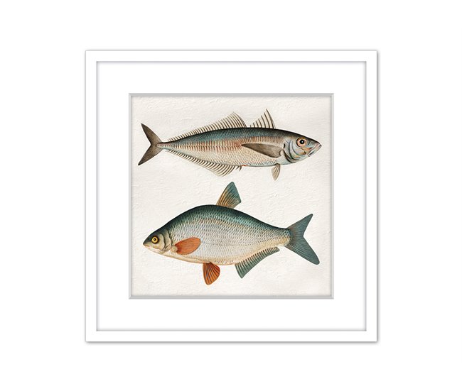 Pintura PECES 42x42cm marca MARCOMUEBLE  Multicor