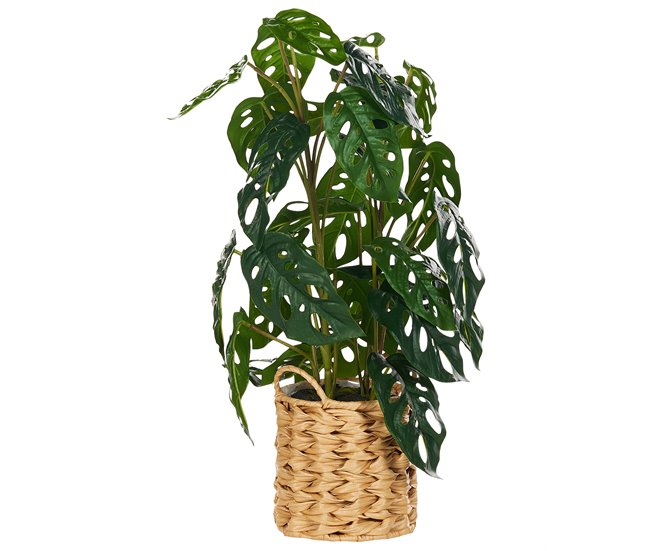 Beliani Planta artificial KIAMA Verde