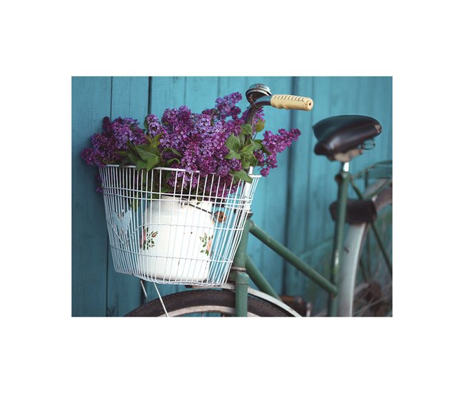 Quadro BICYCLE FLOWERS marca MARCO MUEBLE Multicor
