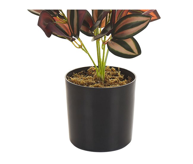 Beliani Planta artificial TRADESCANTIA Verde