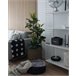 Beliani Planta artificial FICUS ELASTICA Verde